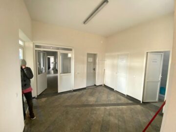 Aproape 5.000 de câini au fost strânși de pe străzile Sucevei în ultimii patru ani