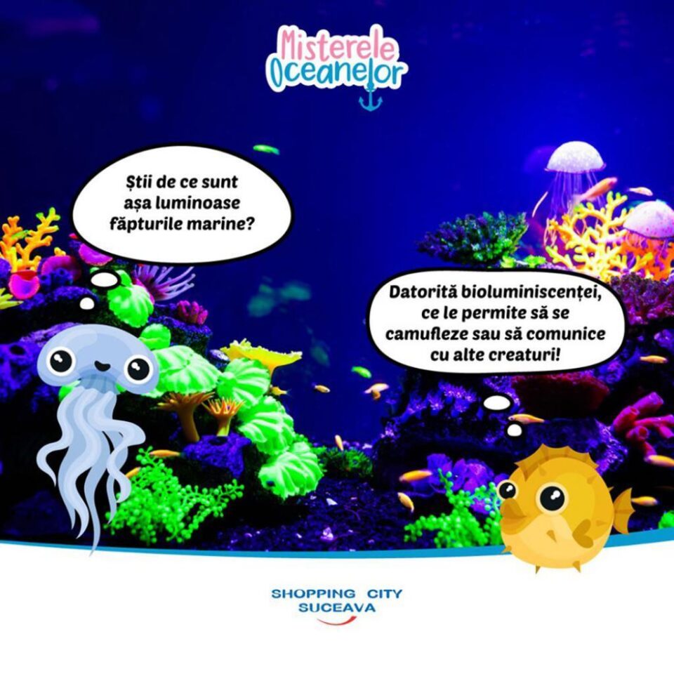„Misterele oceanelor”, o aventură plină de culoare în lumea subacvatică, la Shopping City Suceava
