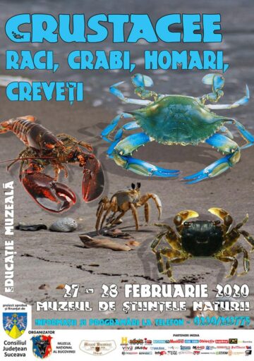 Unde fugim de-acasă...