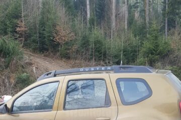 Garda Forestiera Suceava a aplicat o amendă de 10.000 de lei, ca urmare a sesizării făcute de un cetățean