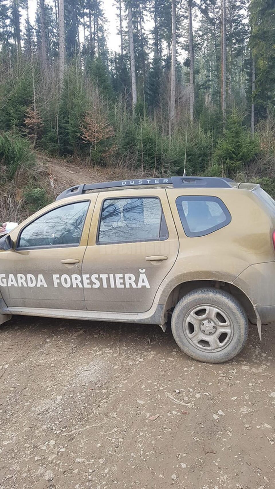 Garda Forestieră Suceava a aplicat o amendă de 10.000 de lei, ca urmare a sesizării făcute de un cetățean Garda Forestieră Suceava a aplicat o amendă de 10.000 de lei, ca urmare a sesizării făcute de un cetățean