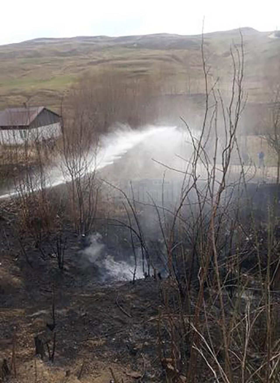 Șapte intervenții pentru stingerea unor incendii de vegetație, în doar câteva ore