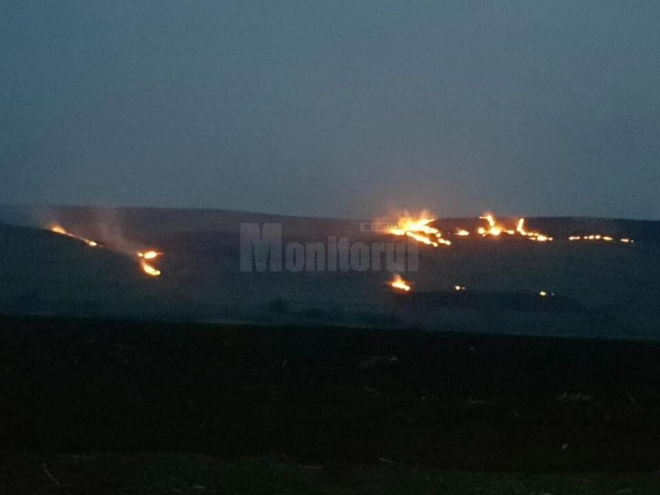 Șapte intervenții pentru stingerea unor incendii de vegetație, în doar câteva ore