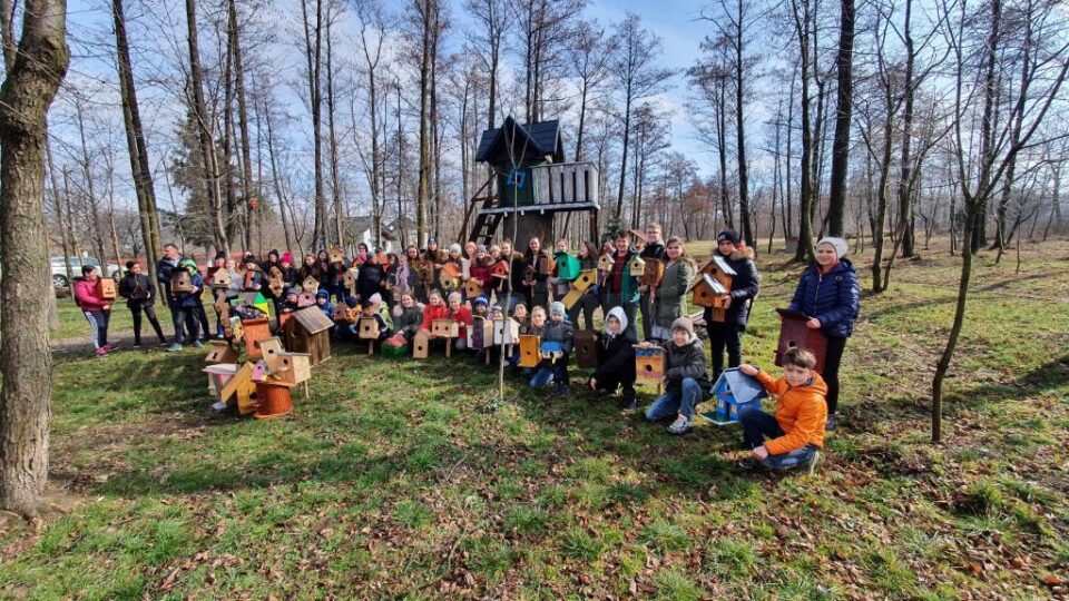 Peste 70 de elevi de la Bilca cu construit căsuțe pentru păsărele