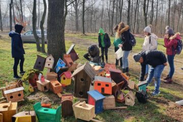 Peste 70 de elevi de la Bilca cu construit căsuțe pentru păsărele