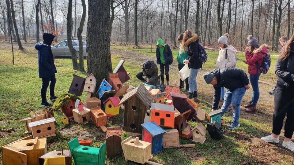 Peste 70 de elevi de la Bilca cu construit căsuțe pentru păsărele