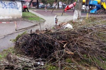 Campanie de primăvară de colectare a deșeurilor voluminoase rezultate din toaletarea arborilor, gardului viu și salubrizarea gospodăriilor