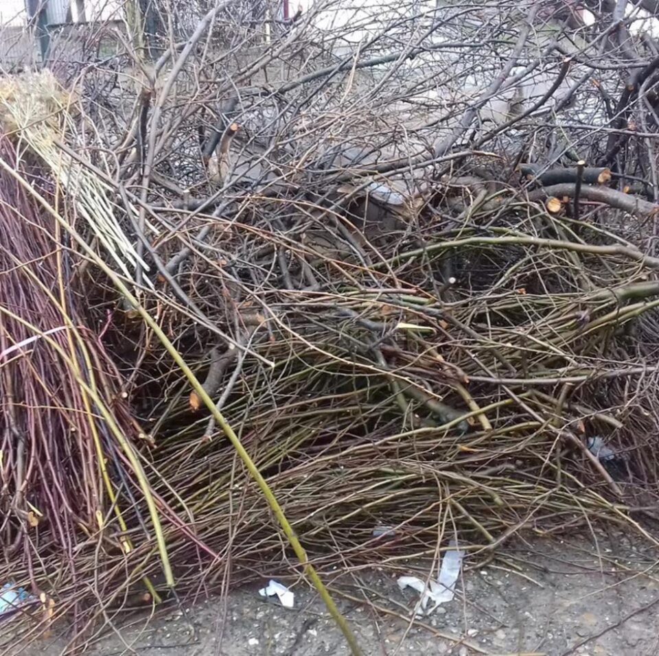 Campanie de primăvară de colectare a deșeurilor vegetale voluminoase