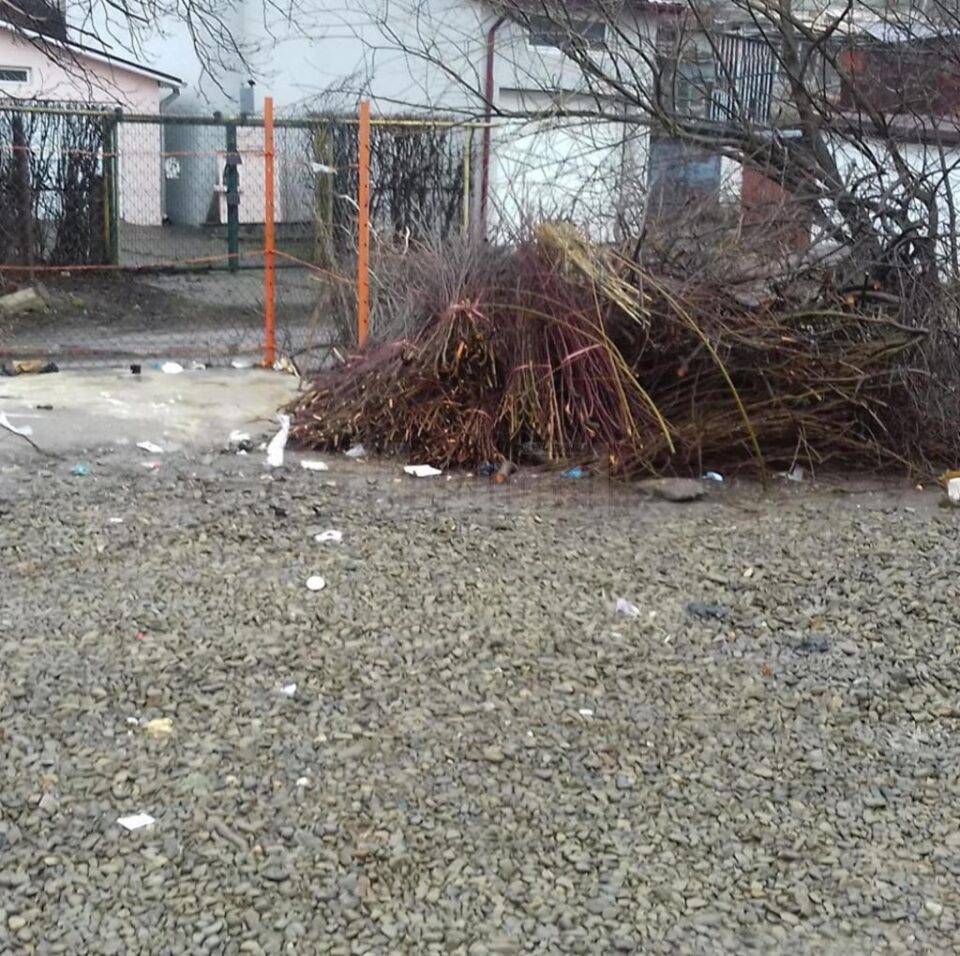 Campanie de primăvară de colectare a deșeurilor vegetale voluminoase