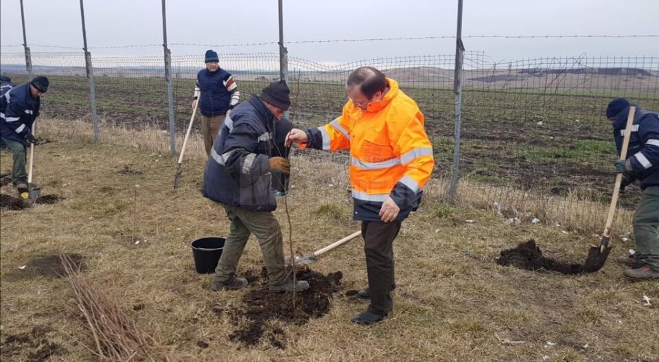 Gheorghe Flutur a dat startul campanie de plantare de copaci în județul Suceava