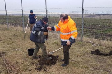 Flutur a dat startul campanie de plantare în județul Suceava