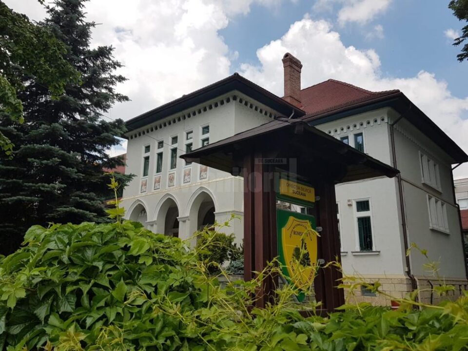 Restricții de acces și măsuri de dezinfectare la Direcția Silvică Suceava și la ocoalele silvice