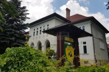 Restricții de acces și măsuri de dezinfectare la Direcția Silvică Suceava și la ocoalele silvice