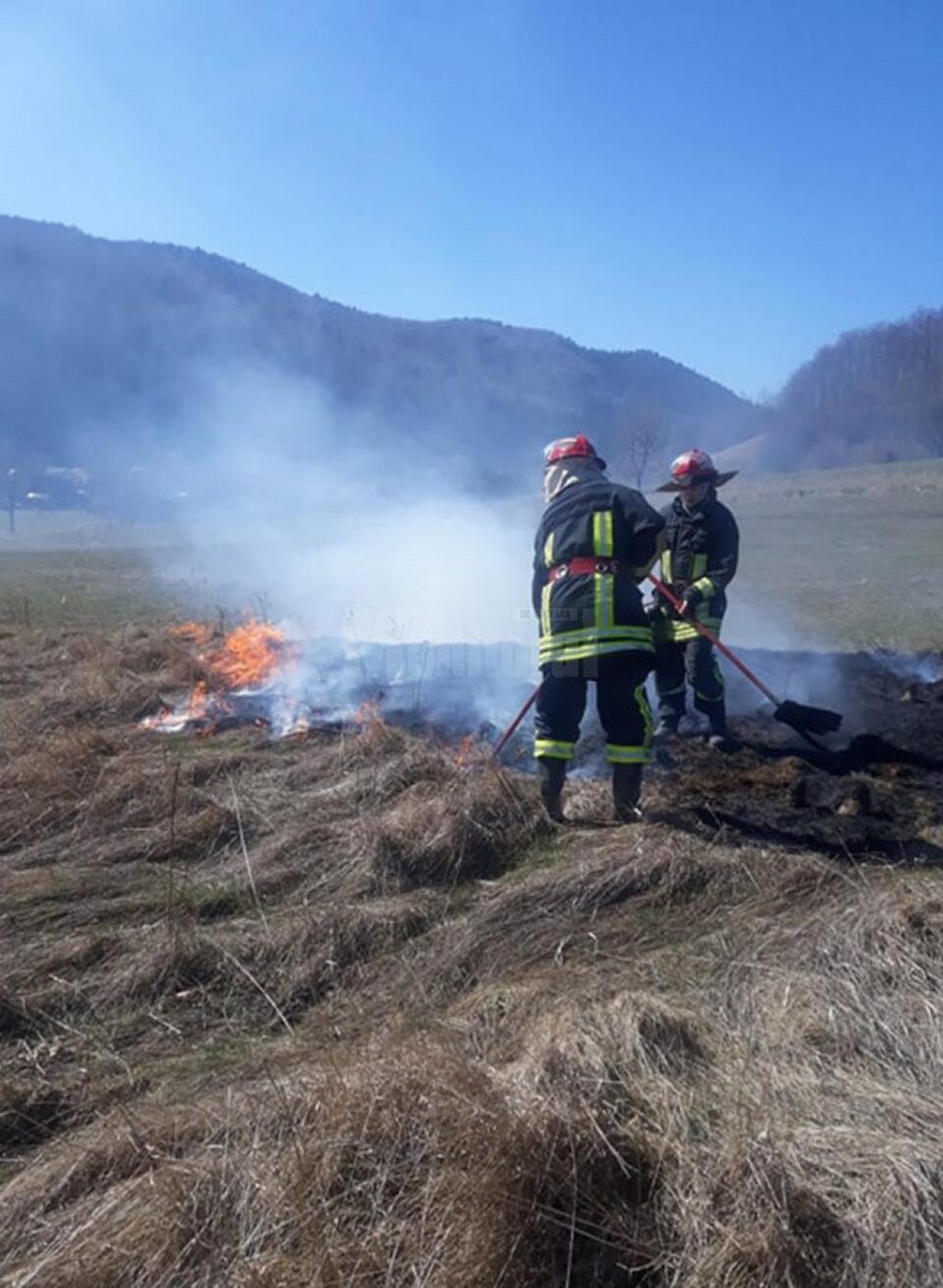 Flăcările au afectat peste 80 de ha de teren și 20 de ari plantații de molid Flăcările au afectat peste 80 de ha de teren și 20 de ari plantații de molid