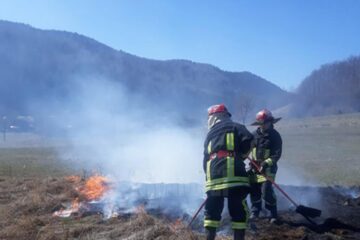 Flăcările au afectat peste 80 de ha de teren și 20 de ari plantații de molid