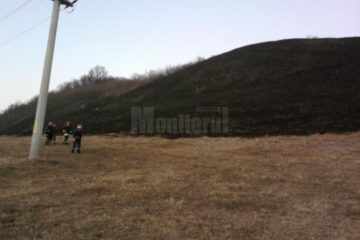 Incendiu de vegetație uscată