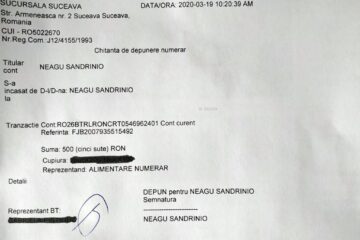 Deschidere cont bancar