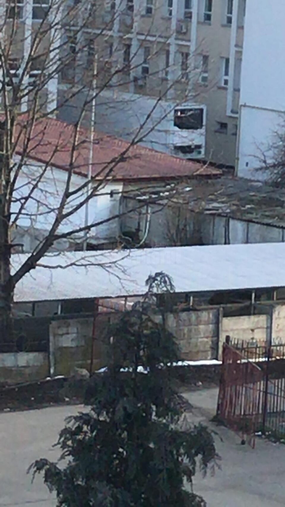 16 morți, marți dimineață, la morga Spitalului Județean