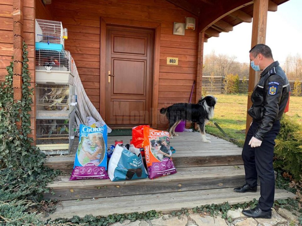 Misiune inedită pentru polițiști: au dus mâncare pentru câinele și papagalii unui sucevean aflat în carantină