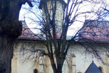 Înmormântări în sicriu sigilat, cu participarea a doar opt membri ai familiei celui răpus de virus