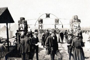 „Pungășii”