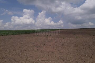 Este interzisă deplasarea sucevenilor din zonele carantinate în alte localități pentru activități agricole