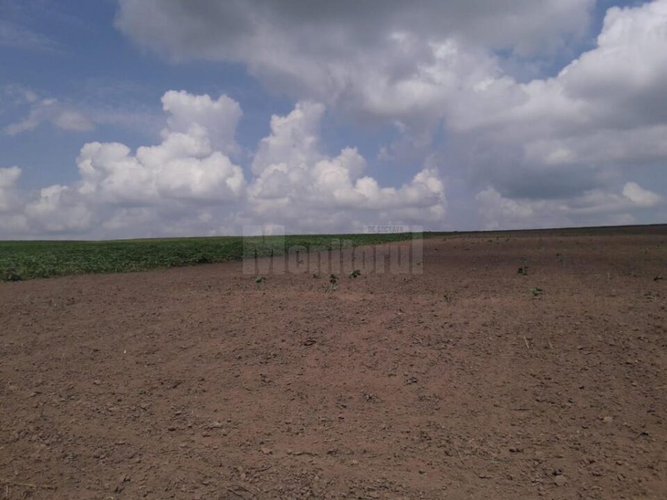 Este interzisă deplasarea sucevenilor din zonele carantinate în alte localități pentru activități agricole Este interzisă deplasarea sucevenilor din zonele carantinate în alte localități pentru activități agricole