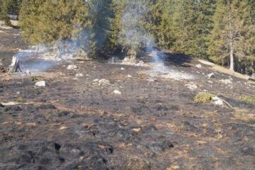 Cinci ore de muncă pentru lichidarea unui incendiu de vegetație uscată, la Crucea