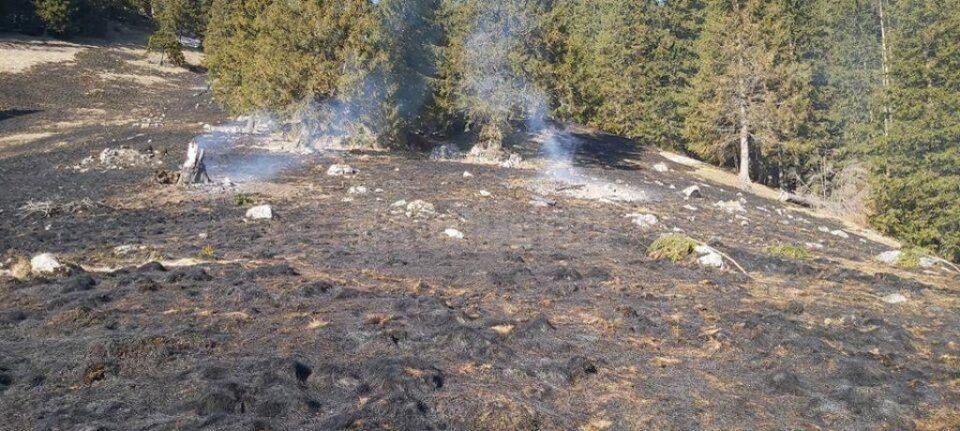 Cinci ore de muncă pentru lichidarea unui incendiu de vegetație uscată, la Crucea