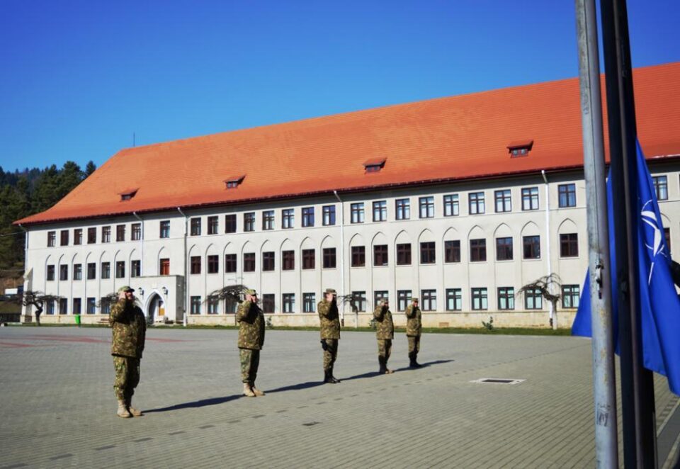 Ziua NATO, la Câmpulung Moldovenesc Foto: Georgiana Lupu