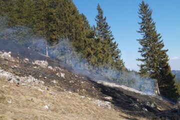Incendiul a cuprins vegetatia uscata, cu pericol de a se extinde la padure