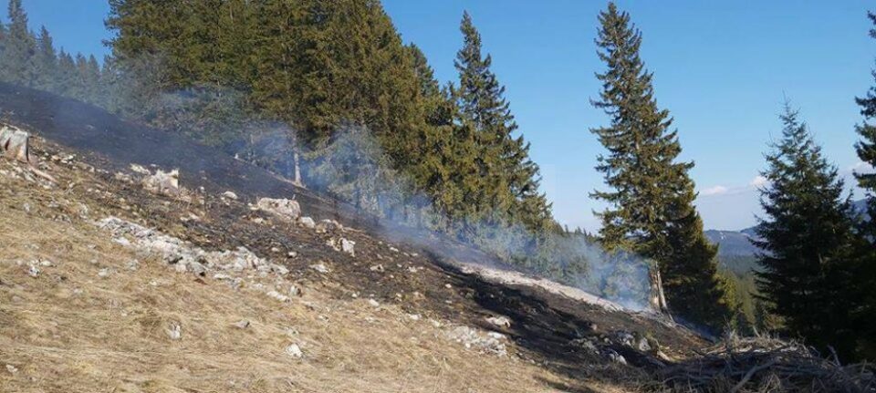 Incendiul a cuprins vegetatia uscata, cu pericol de a se extinde la padure