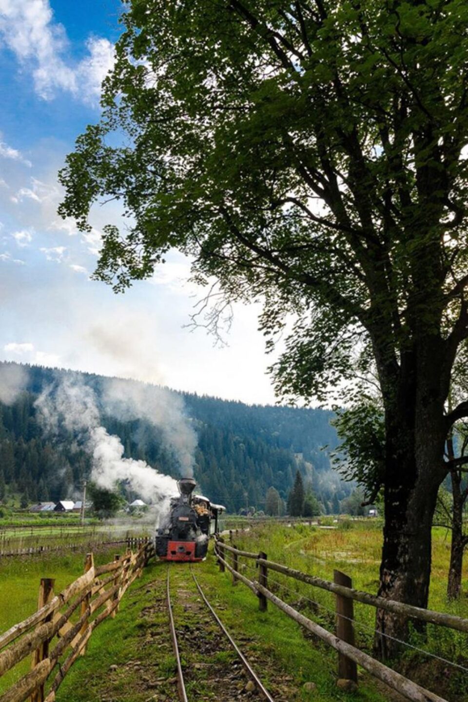 “Sunt trist, pentru că județul meu preferat, Suceava, suferă mai tare decât oricare altul!”. Foto: Costin Fetic