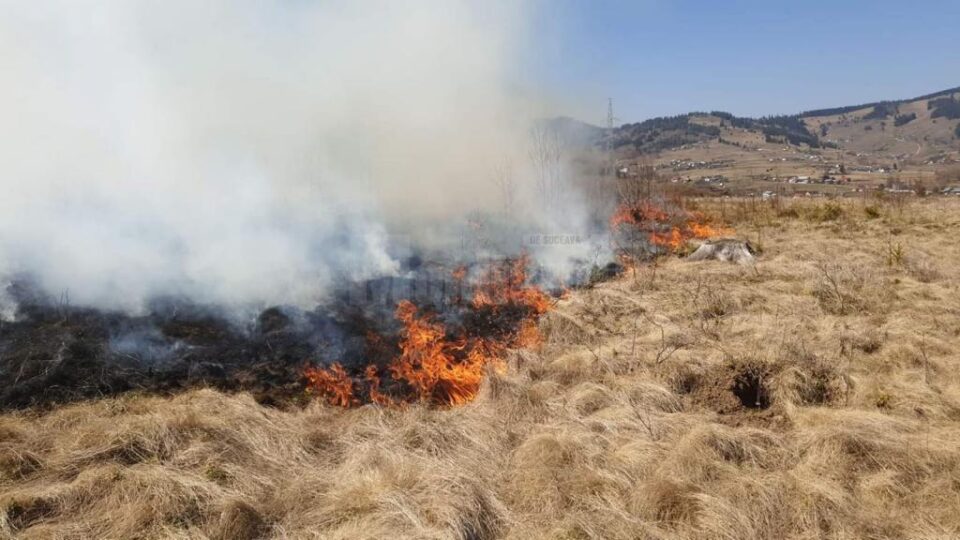 Peste 60 de oameni au muncit să oprească un incendiu extins, care amenința pădurea