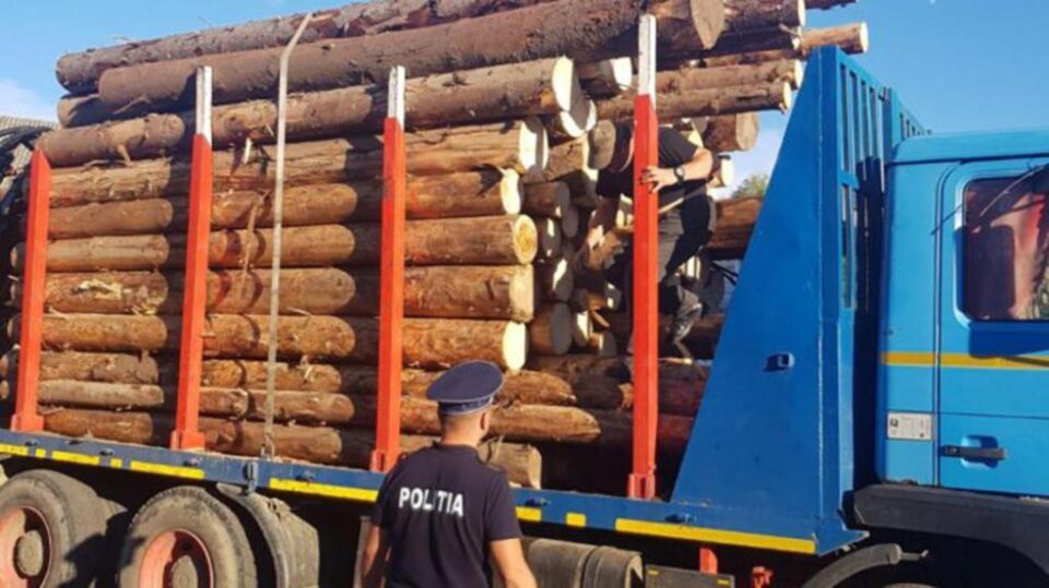 Peste 80 de metri cubi de lemn confiscați în trafic