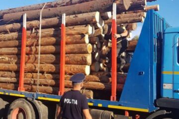 Peste 80 de metri cubi de lemn confiscați în trafic