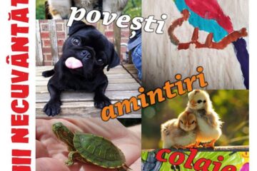 Expoziție online de fotografie și desene trimise de suceveni, organizată de Muzeul de Științele Naturii