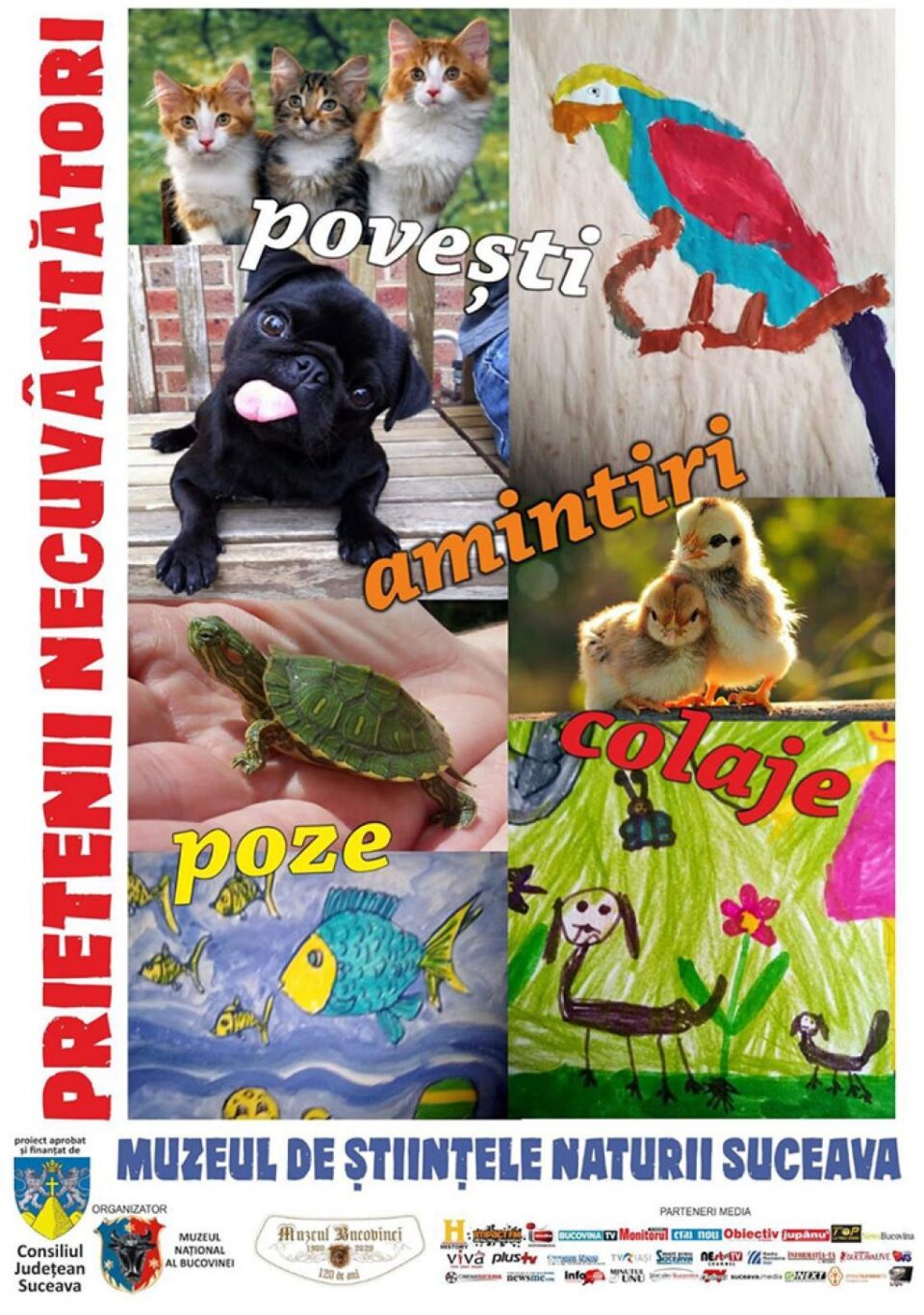 Expoziție online de fotografie și desene trimise de suceveni, organizată de Muzeul de Științele Naturii