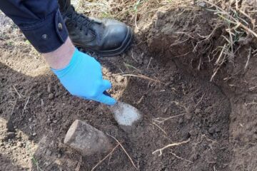 Un proiectil a fost descoperit în grădină Un proiectil a fost descoperit în grădină