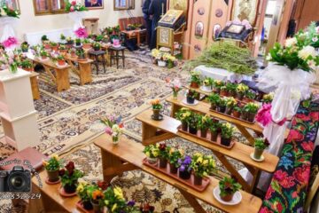 Zeci de ghivece cu flori în locul credincioșilor, la slujba de Florii Sursa foto Ana Maria Roxana Ababei