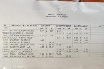 Doar șapte trenuri mai ajung într-o zi în Gara Suceava
