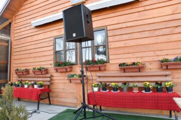 Zeci de ghivece cu flori în locul credincioșilor, la slujba de Florii Sursa foto Ana Maria Roxana Ababei