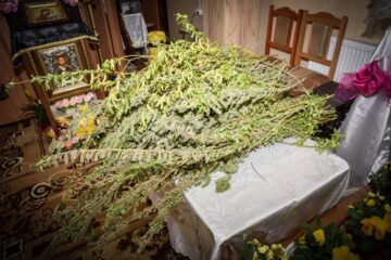 Zeci de ghivece cu flori în locul credincioșilor, la slujba de Florii Sursa foto Ana Maria Roxana Ababei