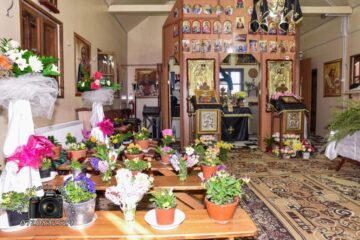Zeci de ghivece cu flori în locul credincioșilor, la slujba de Florii Sursa foto Ana Maria Roxana Ababei