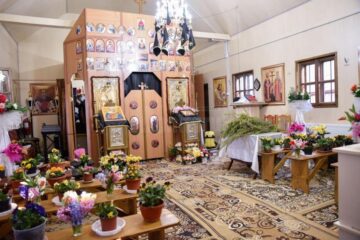 Zeci de ghivece cu flori în locul credincioșilor, la slujba de Florii Sursa foto Ana Maria Roxana Ababei