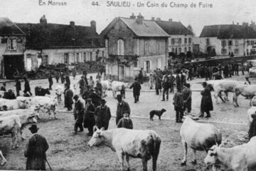 „Țeranii noștri”