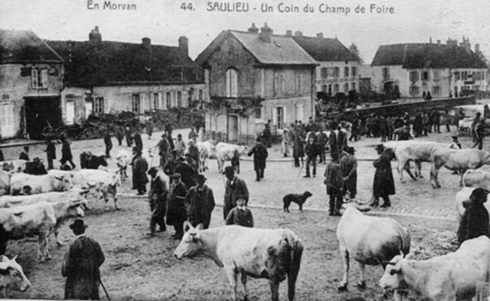 „Țeranii noștri”