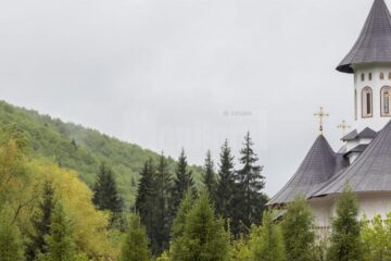 Mănăstirea Sihăstria Putnei