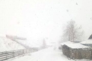 Iarna autentică în zona Palma