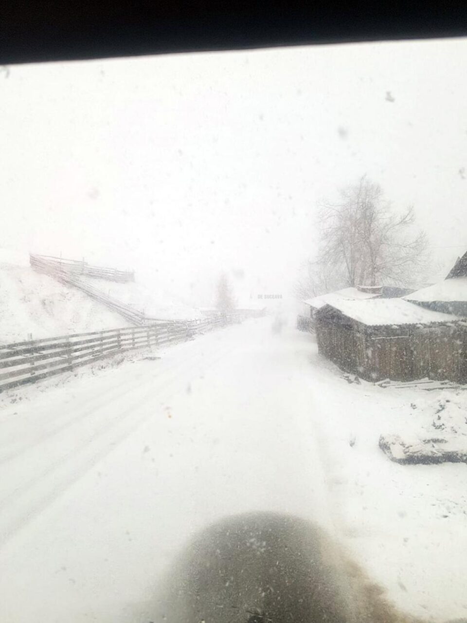 Iarna autentică în zona Palma